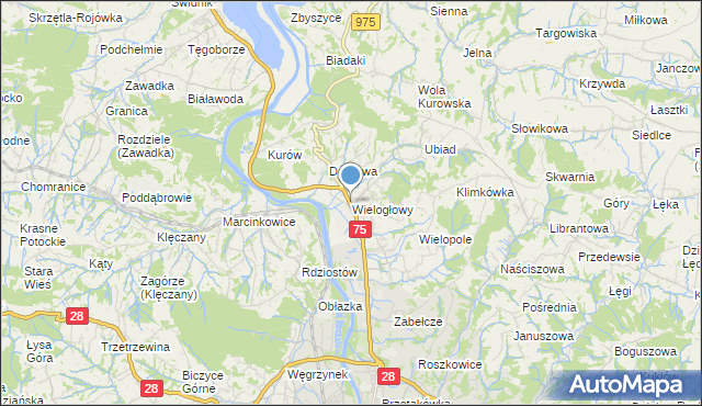 mapa Wielogłowy, Wielogłowy gmina Chełmiec na mapie Targeo