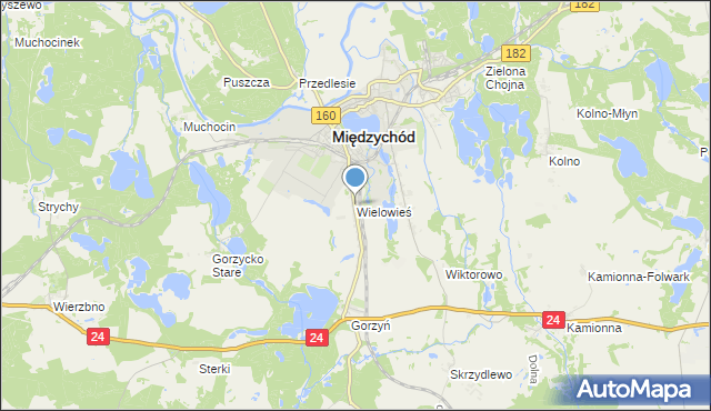 mapa Wielowieś, Wielowieś gmina Międzychód na mapie Targeo