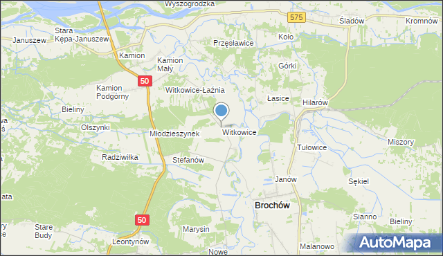 mapa Witkowice, Witkowice gmina Młodzieszyn na mapie Targeo