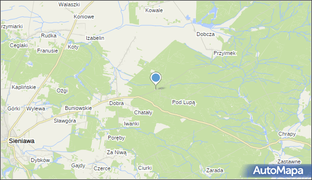 mapa Witoldówka, Witoldówka na mapie Targeo