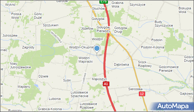 mapa Wodzinek, Wodzinek gmina Tuszyn na mapie Targeo