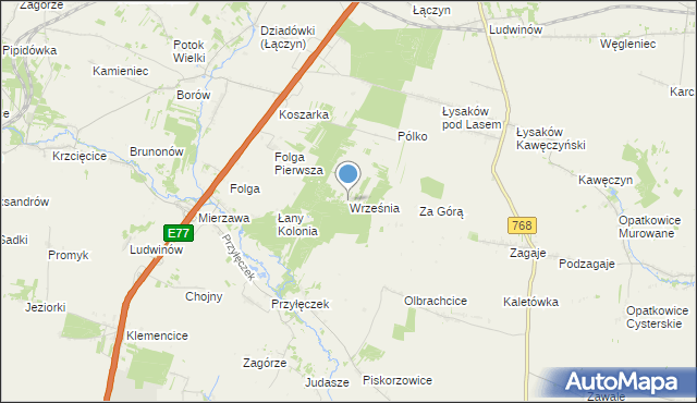 mapa Wrześni, Września gmina Wodzisław na mapie Targeo
