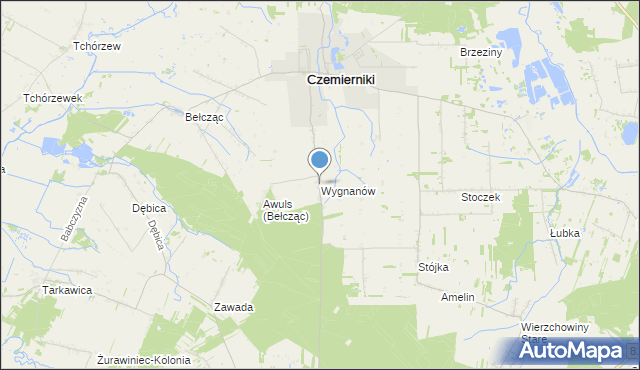 mapa Wygnanów, Wygnanów gmina Czemierniki na mapie Targeo