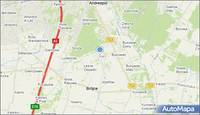 mapa Wygoda, Wygoda gmina Brójce na mapie Targeo