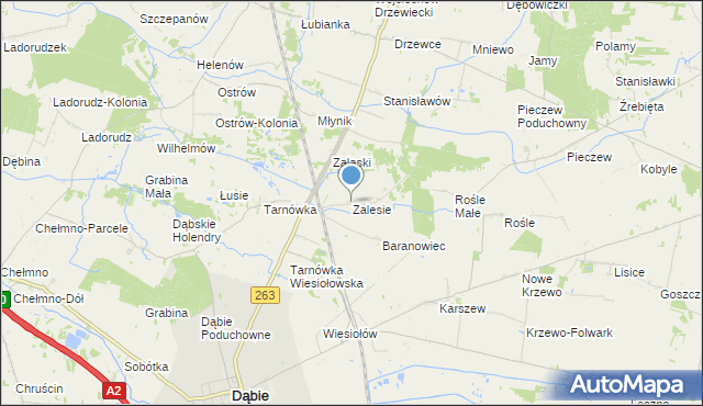 mapa Zalesie, Zalesie gmina Dąbie na mapie Targeo