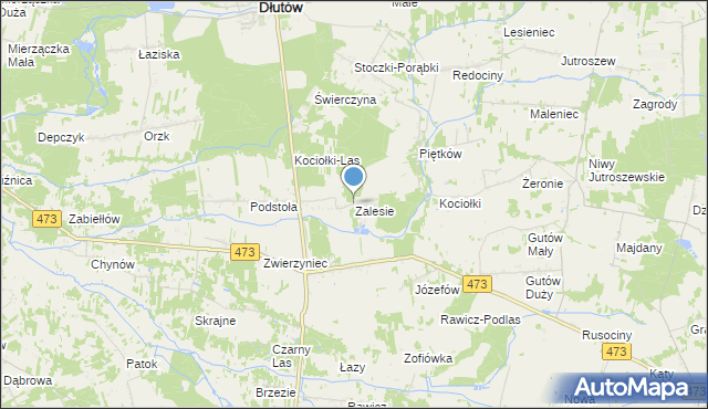 mapa Zalesie, Zalesie gmina Drużbice na mapie Targeo