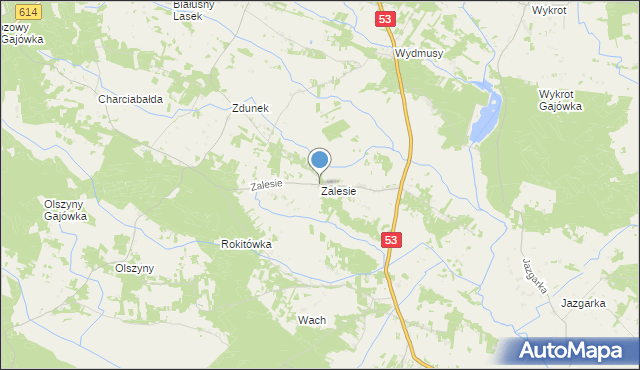 mapa Zalesie, Zalesie gmina Myszyniec na mapie Targeo