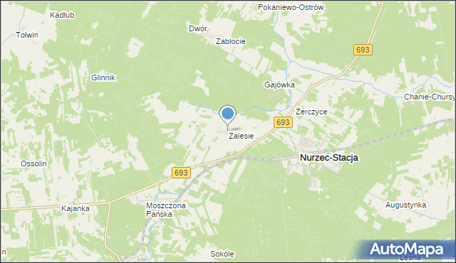 mapa Zalesie, Zalesie gmina Nurzec-Stacja na mapie Targeo