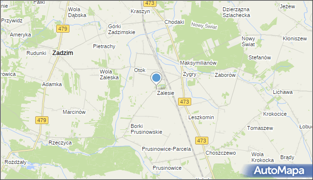mapa Zalesie, Zalesie gmina Zadzim na mapie Targeo
