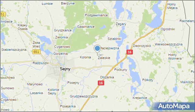 mapa Zaleskie, Zaleskie gmina Sejny na mapie Targeo