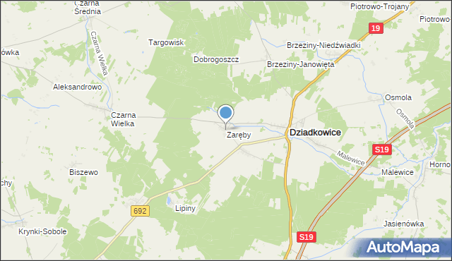 mapa Zaręby, Zaręby gmina Dziadkowice na mapie Targeo