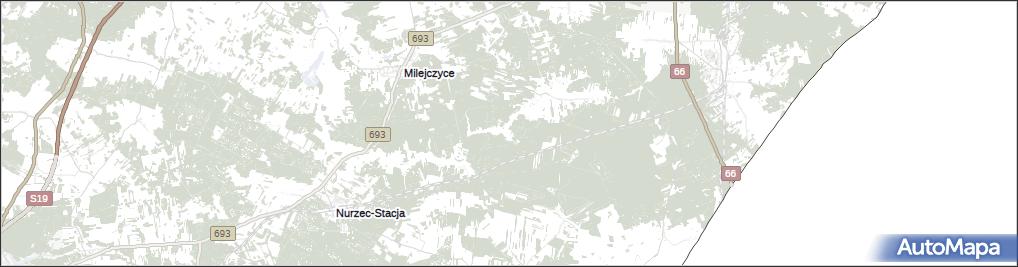 Borowiki