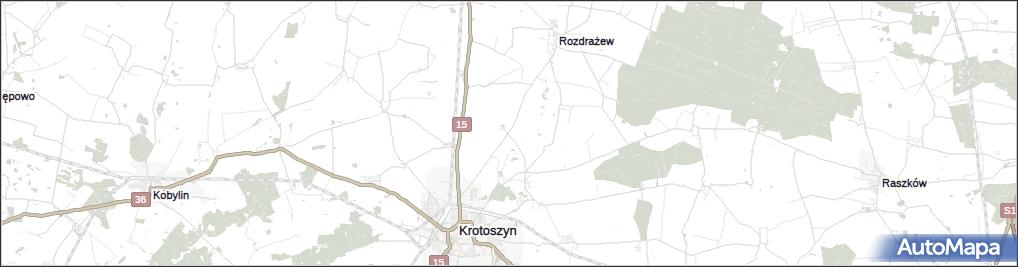 Brzoza