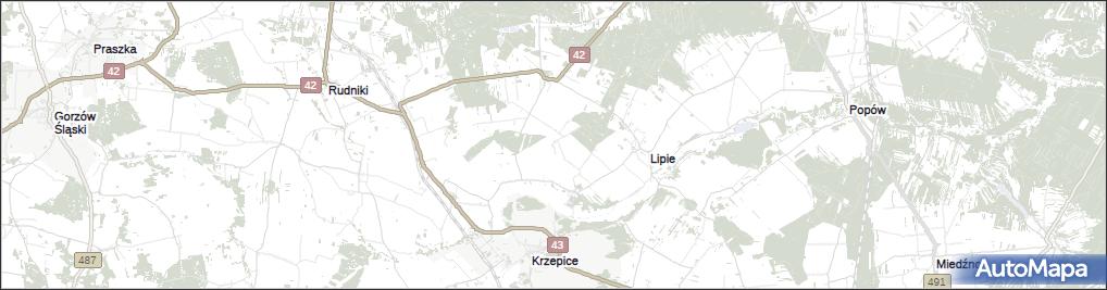 Brzózki
