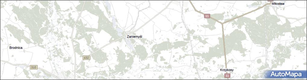 Czarnotki