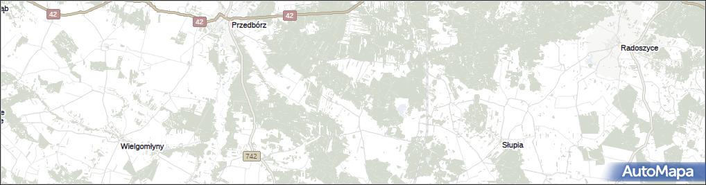 Dawidów