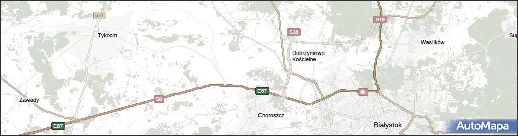 Dzikie-Kolonia