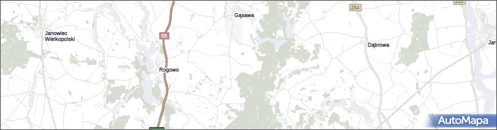 Głowy