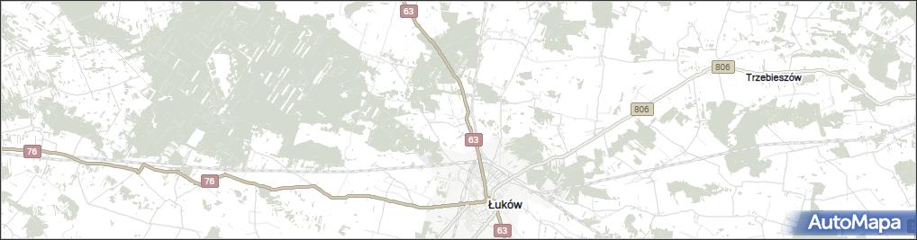 Gołaszyn