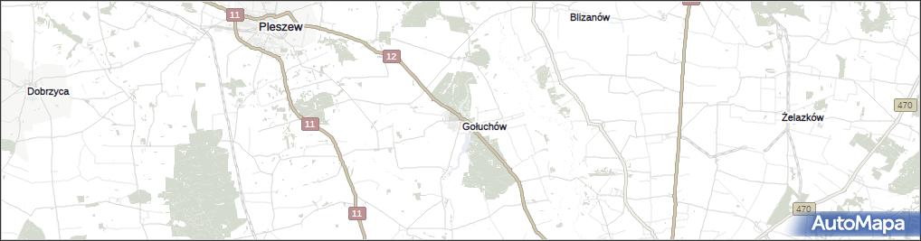 Gołuchów