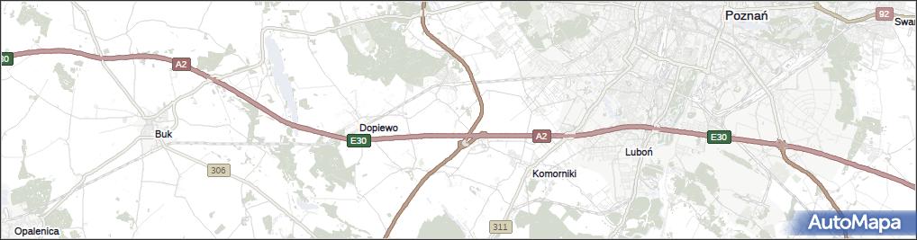 Gołuski