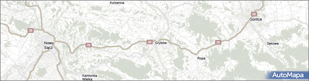Grybów