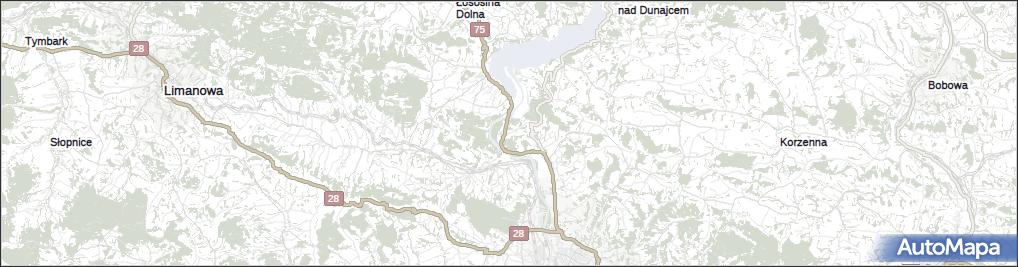 Kurów