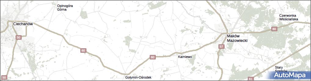 Leśniewo