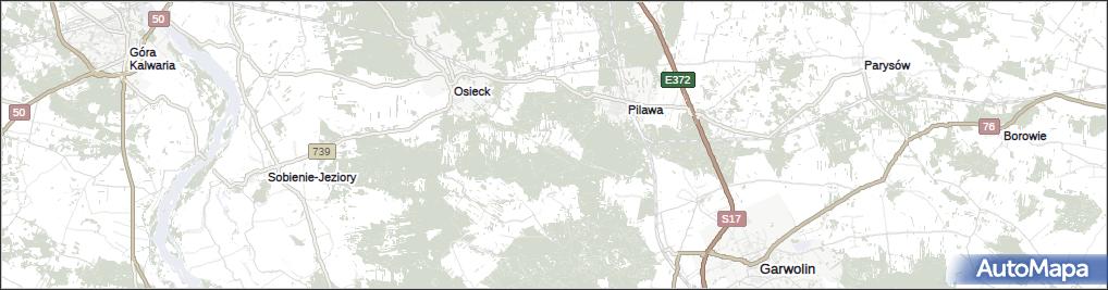 Łucznica