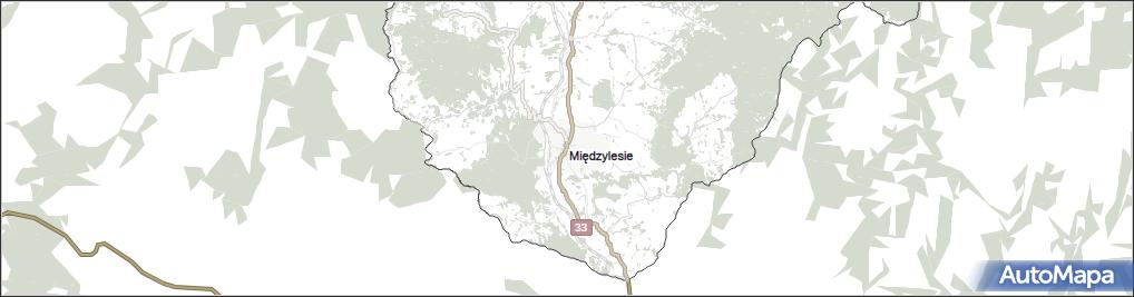 Międzylesie