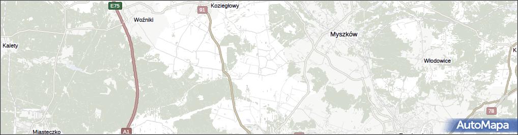 Pińczyce
