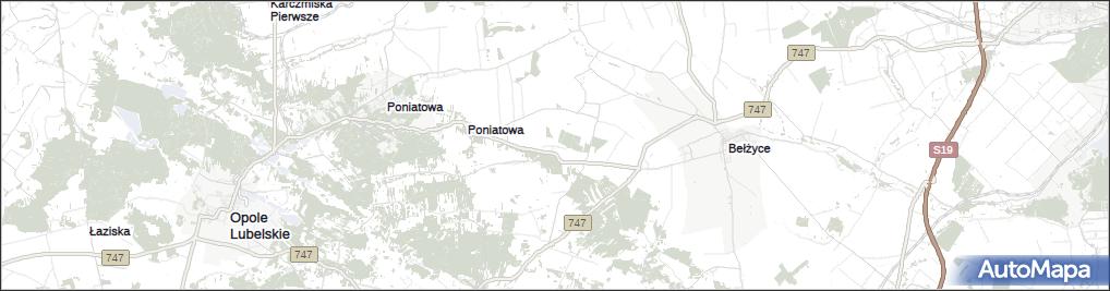 Płowizny