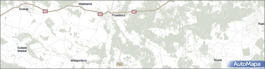 Policzko