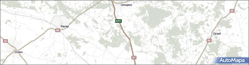 Rybitwy