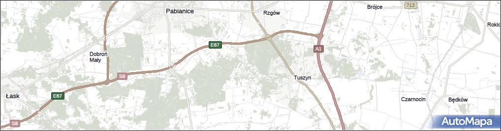 Rydzynki