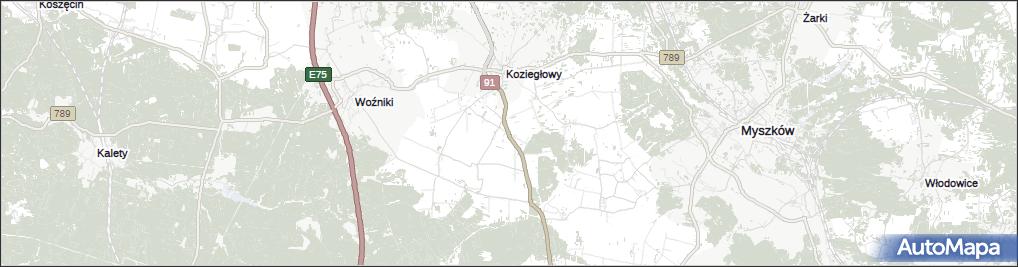 Rzeniszów