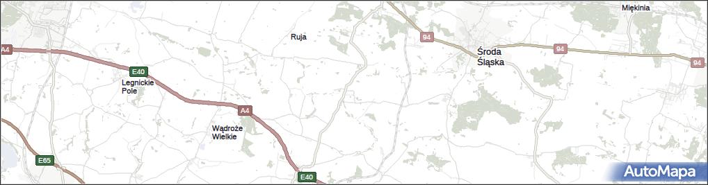 Szymanów