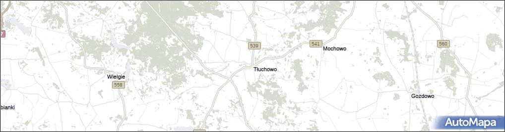 Tłuchowo