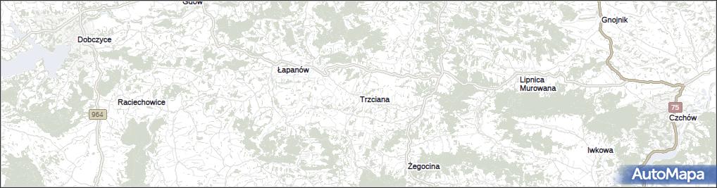 Trzciana