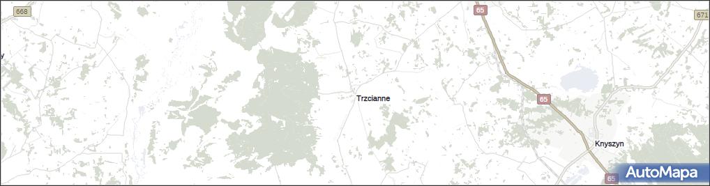 Trzcianne