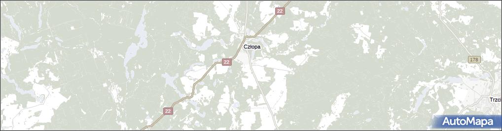 Trzebin