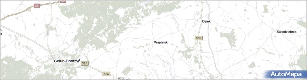 Wąpielsk