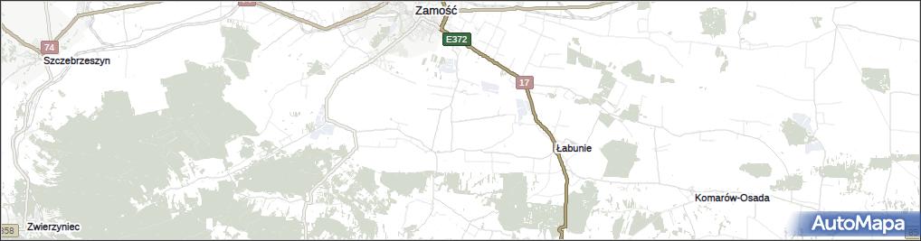 Wierzbie