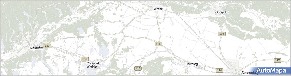 Wierzchocin