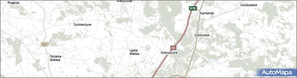 Wiewiórów