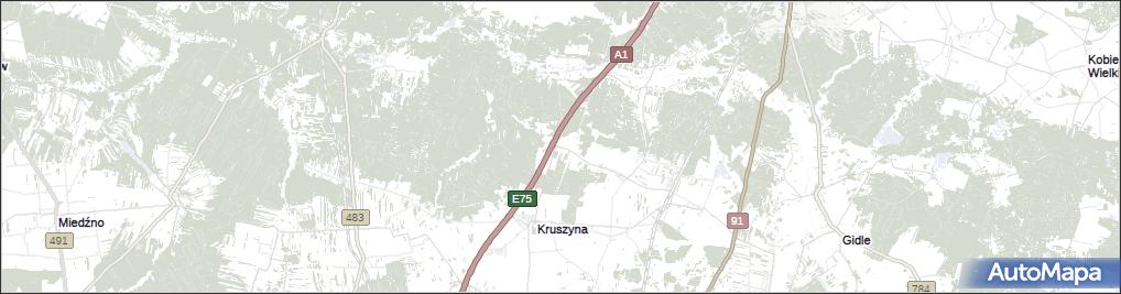 Wikłów