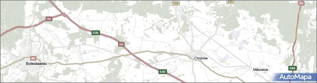 Witków