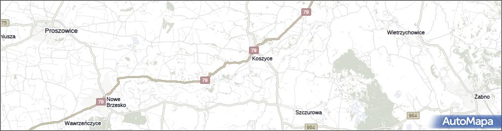 Witów