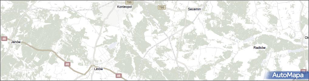 Wolica