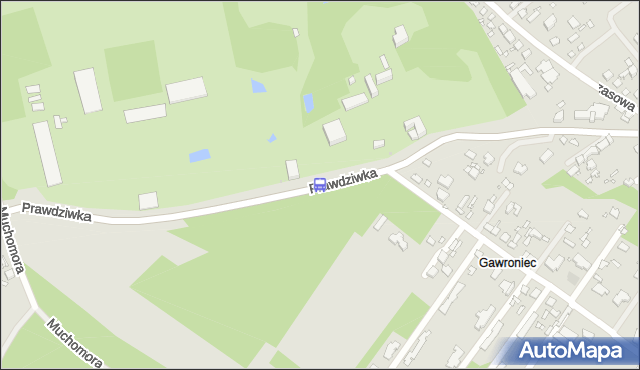 Przystanek Ogród Botaniczny 01. ZTM Warszawa - Warszawa (id 330501) na mapie Targeo